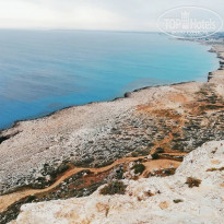 фото из отзыва ID 1938087