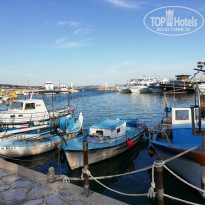 фото из отзыва ID 1938087