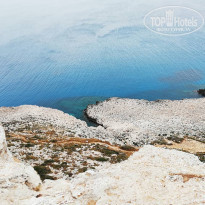 фото из отзыва ID 1938087