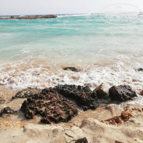 фото из отзыва ID 1938087