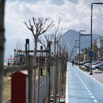 фото из отзыва ID 1941852