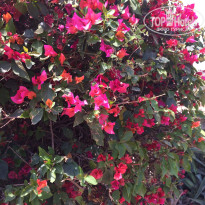 фото из отзыва ID 1944574