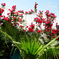 фото из отзыва ID 1946036