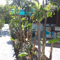 фото из отзыва ID 1946235