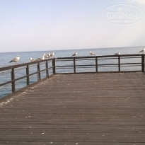 фото из отзыва ID 1950294