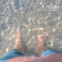 фото из отзыва ID 1950294