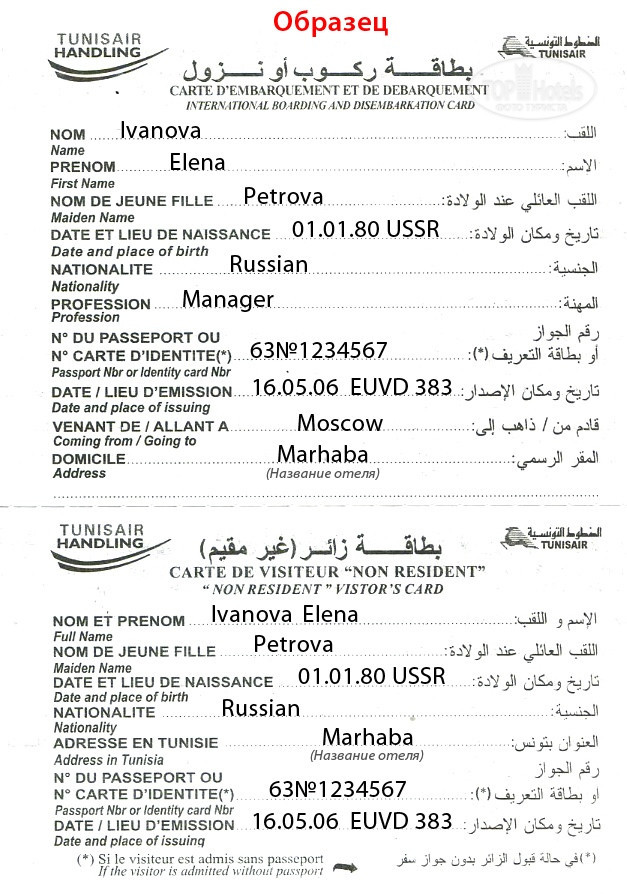 Выбор типа документа для поездки