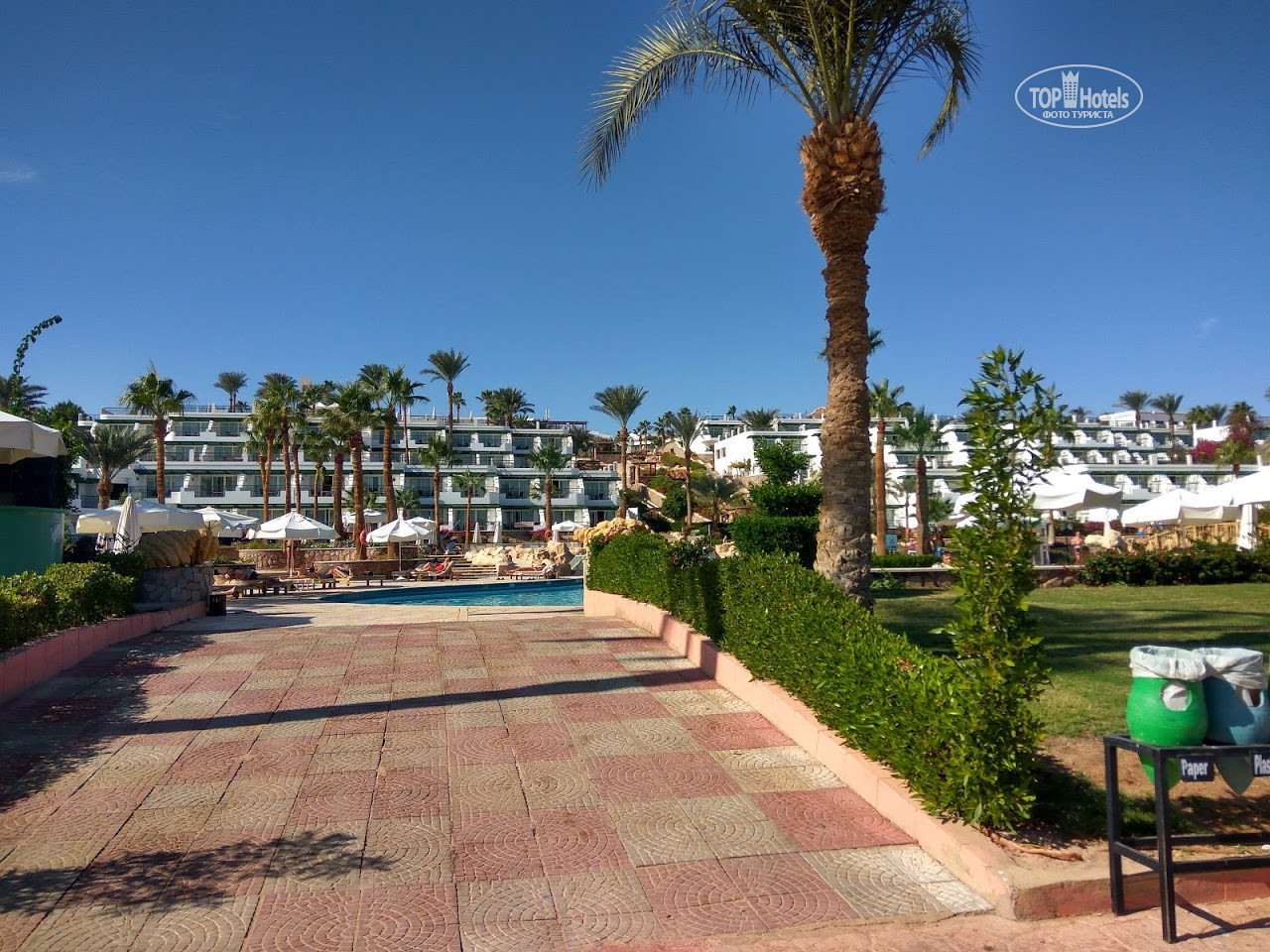 Safir sharm отзывы. Safir Sharm Waterfalls Resort 5. Seti Sharm Waterfalls 5. Safir Sharm Waterfalls 5 риф фото.