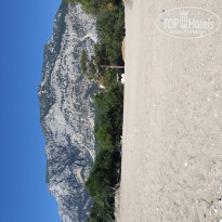 фото из отзыва ID 1957411