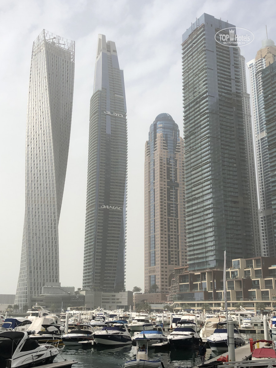 Rove marina. Отель Rove Dubai Marina 3. Дубай 3.0 Max Brown.