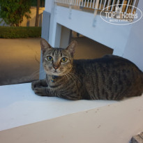 фото из отзыва ID 1958369