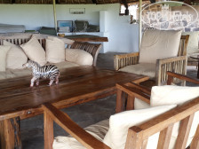 Mikumi safari lodge