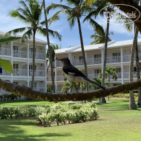 фото из отзыва ID 1963186