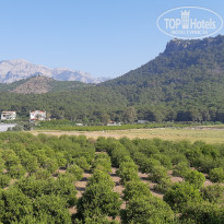 фото из отзыва ID 1964393