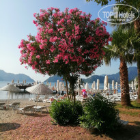 фото из отзыва ID 1968460