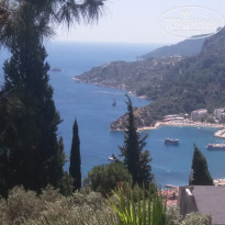 фото из отзыва ID 1969017