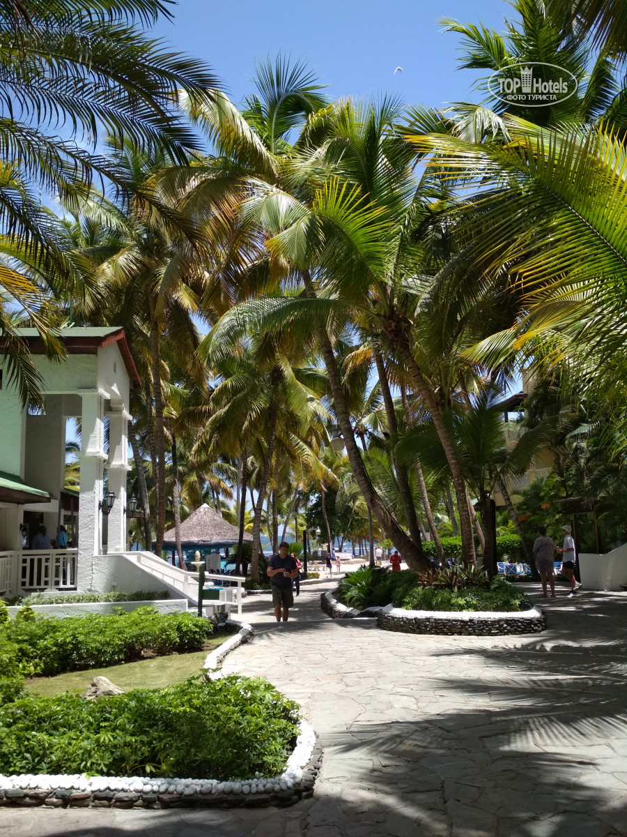 Costa caribe beach resort венесуэла. Корал Коста Карибе Доминикана. Отель Coral Costa Caribe Resort & Spa. Доминикана Хуан Долио Коста Карибе. Корал Коста Карибе отель.