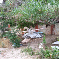 фото из отзыва ID 1975399