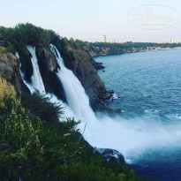 фото из отзыва ID 1976516