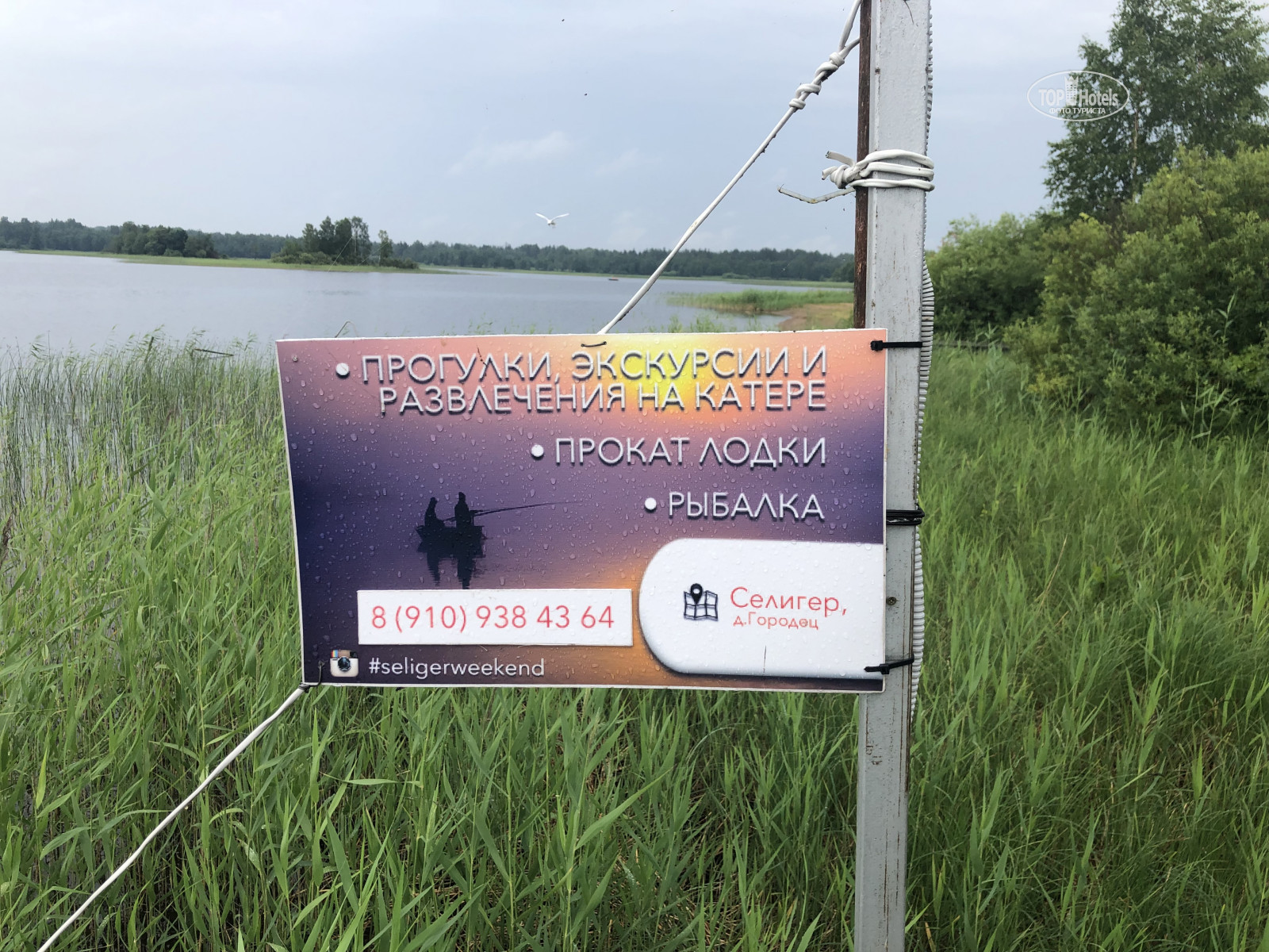 чат новый ковчег