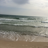 фото из отзыва ID 1979328