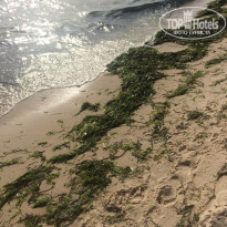 фото из отзыва ID 1979328