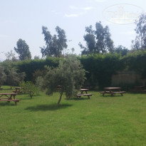 фото из отзыва ID 1979741