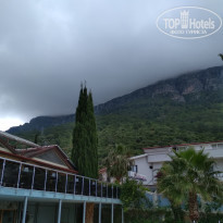 фото из отзыва ID 1983166