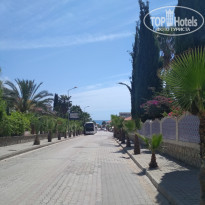 фото из отзыва ID 1983166