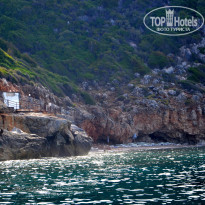 фото из отзыва ID 1983795