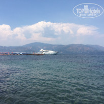 фото из отзыва ID 1984968