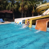 фото из отзыва ID 1987606