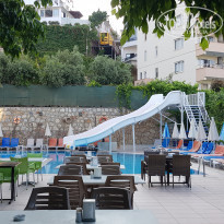 фото из отзыва ID 1988012