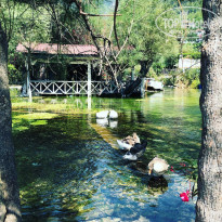 фото из отзыва ID 1989865