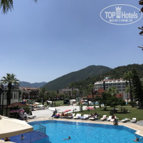 фото из отзыва ID 1991293