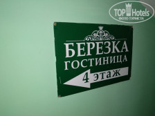 Березка