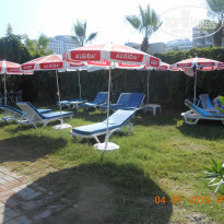 фото из отзыва ID 1996060