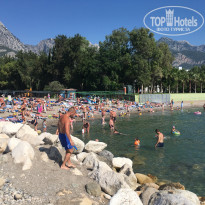 фото из отзыва ID 1996644