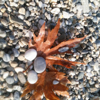 фото из отзыва ID 1998882