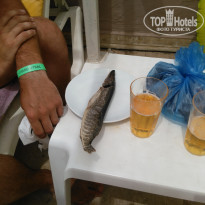 фото из отзыва ID 1998882