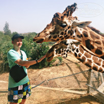 фото из отзыва ID 1999724