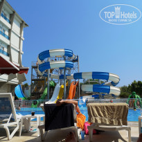 фото из отзыва ID 1998874