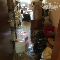 фото из отзыва ID 2003254