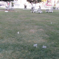 фото из отзыва ID 2001002