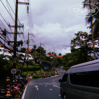 фото из отзыва ID 2008554