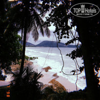 фото из отзыва ID 2008554