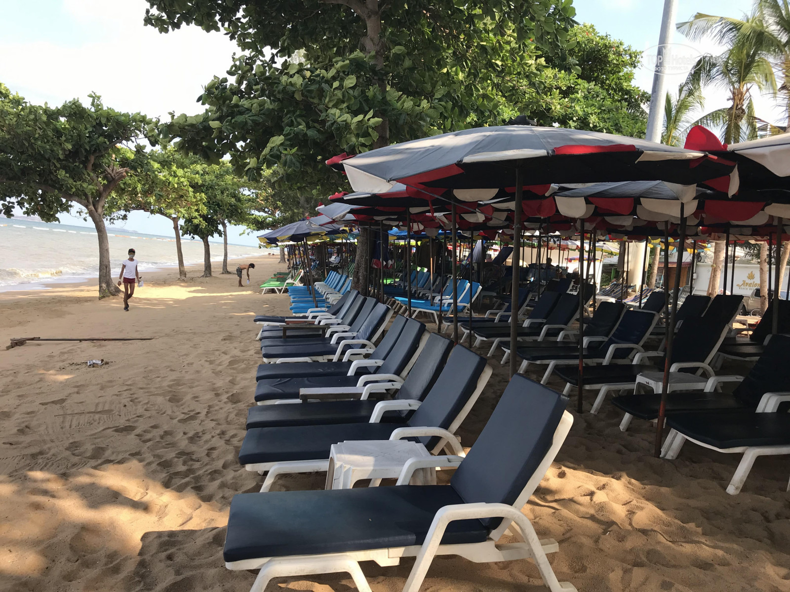Avalon Beach Resort