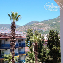 фото из отзыва ID 2009367