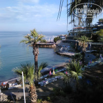 фото из отзыва ID 2004244