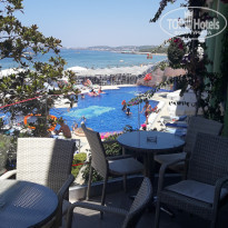 фото из отзыва ID 2011089